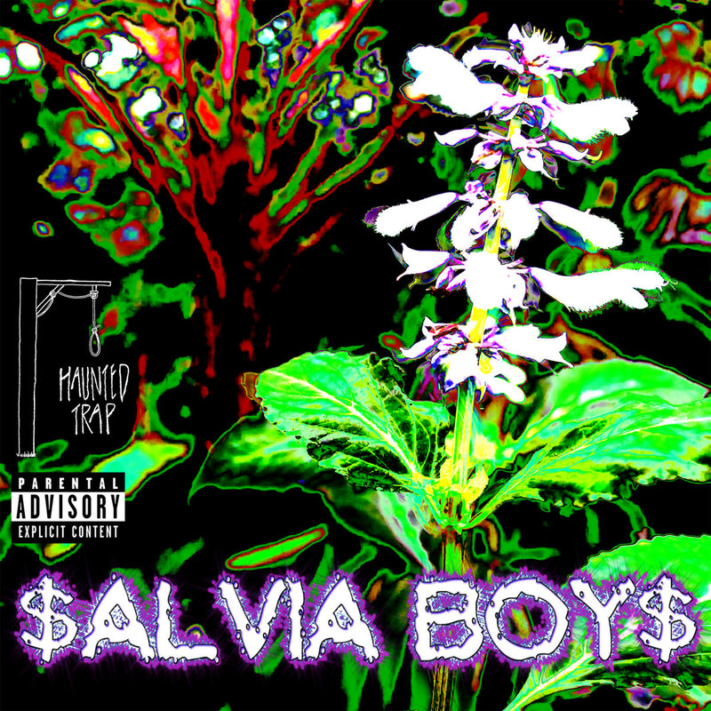 SALVIA BOYS BY HAUNTED TRAP COVER ART